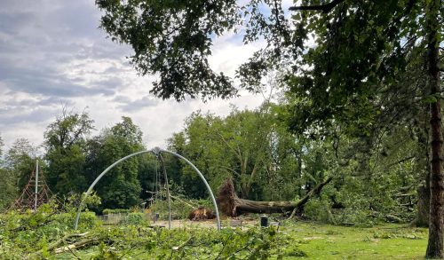 Σκοτώθηκε βρέφος όταν κλαδί δέντρου έπεσε στο καρότσι του - Τραγωδία σε πάρκο των Βρυξελλών